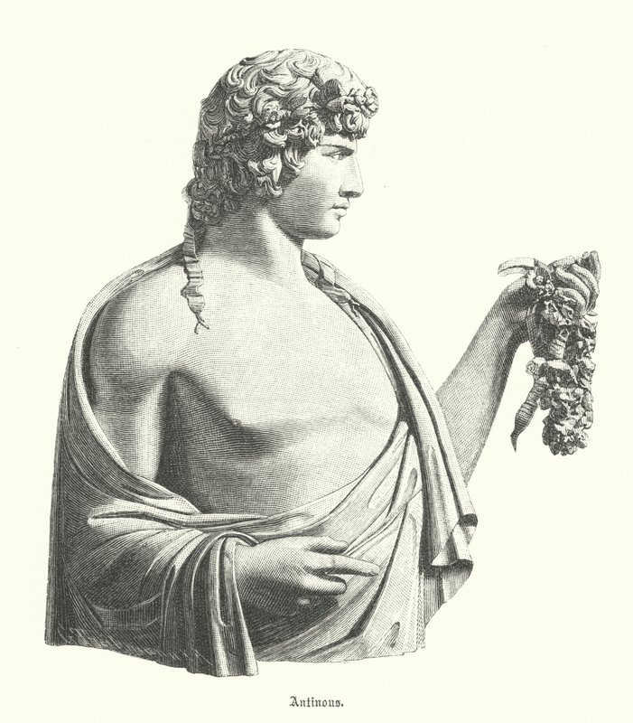 Antínoo, joven griego y favorito, o amante, del emperador romano Adriano (grabado) de German School