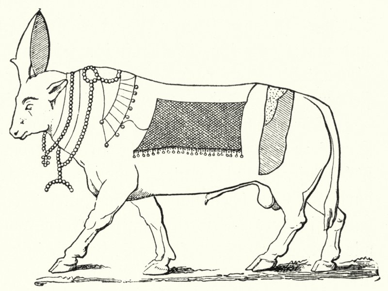 Apis, toro sagrado del Antiguo Egipto de German School