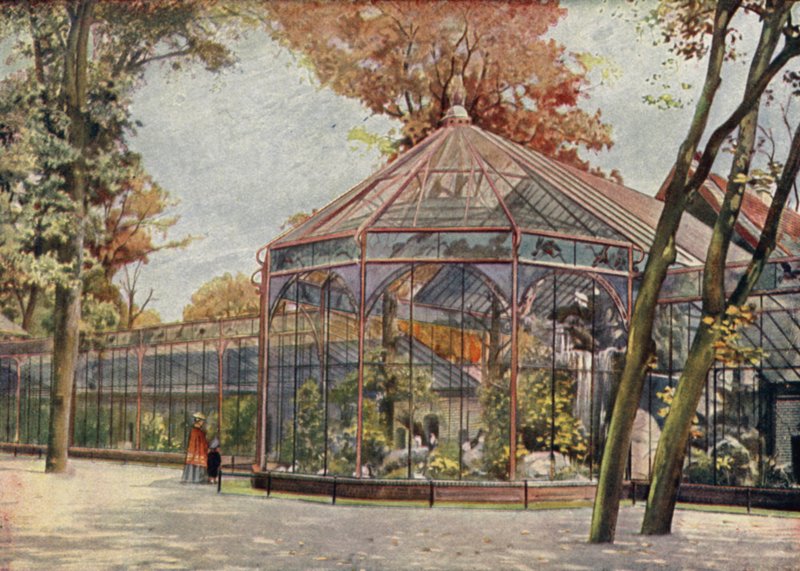 Aviario, Jardín Zoológico de Berlín, Alemania (litografia en color) de German School