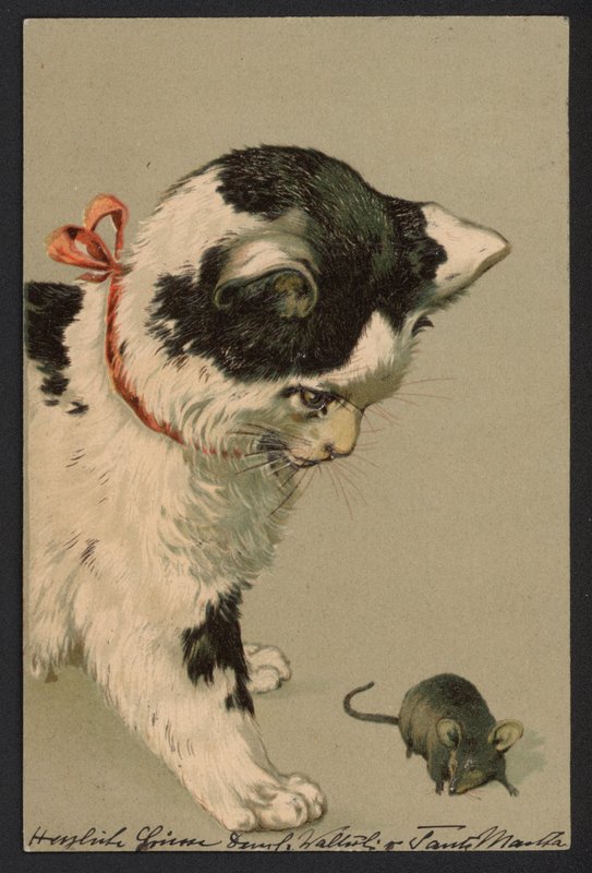 Gato jugando con un ratón (litografía en color) de German School