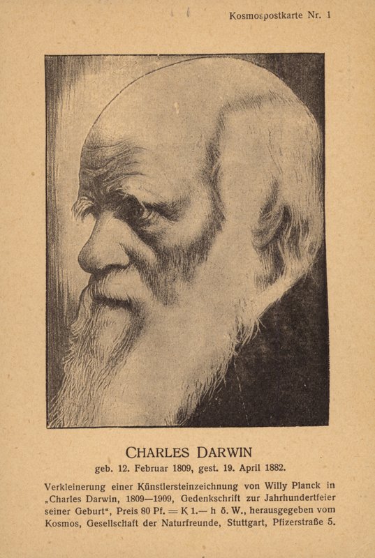 Charles Darwin (1809-1882), naturalista inglés (litografía) de German School