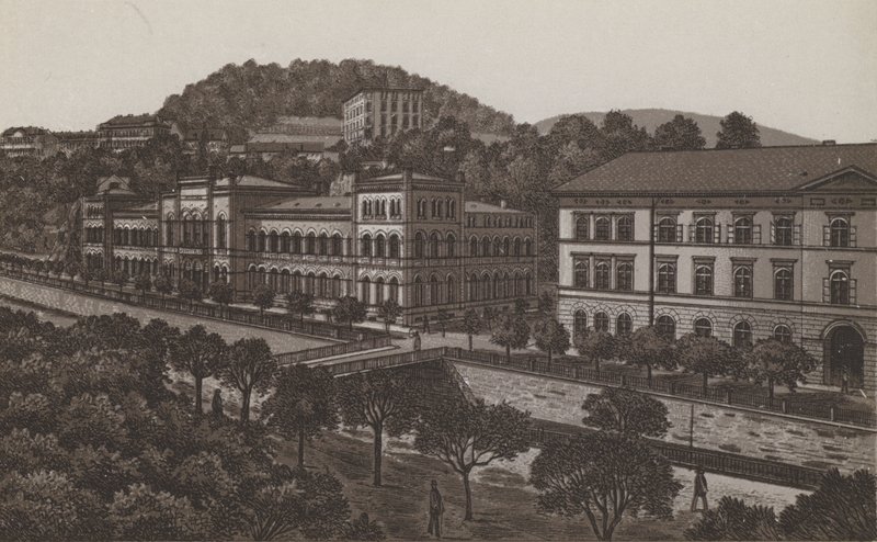 Curhaus de German School
