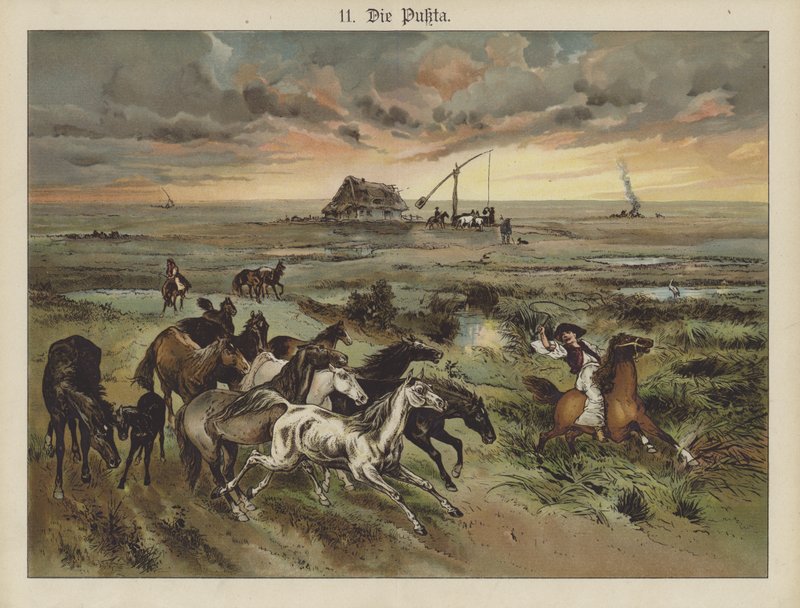 Die Pukta de German School