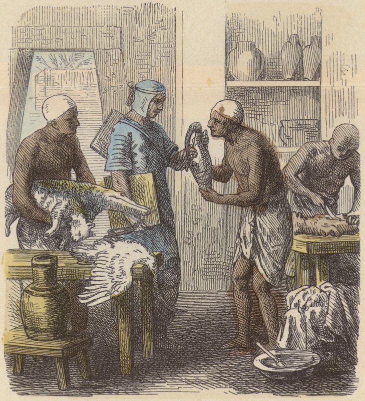 Embalsamamiento de animales en el Antiguo Egipto de German School