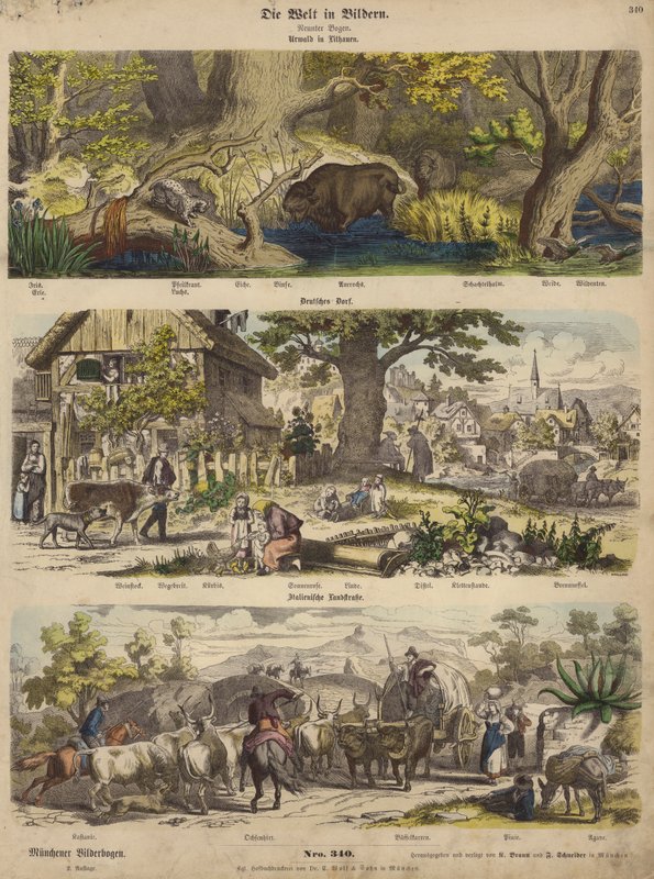 Europa: bosque en Lituania; pueblo alemán; camino rural italiano de German School