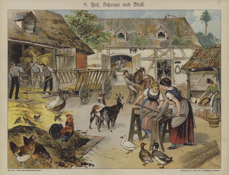 Granja de German School