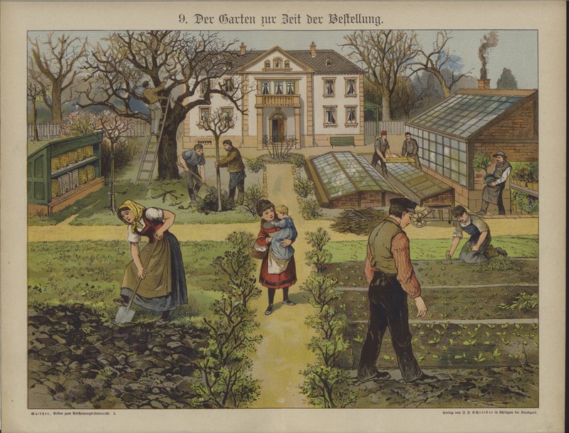 Jardín de German School