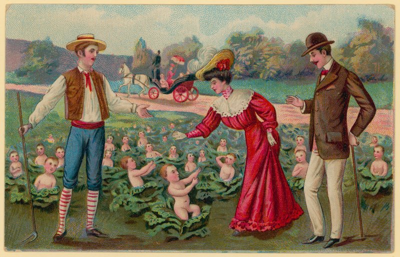 Bebés creciendo de coles de German School