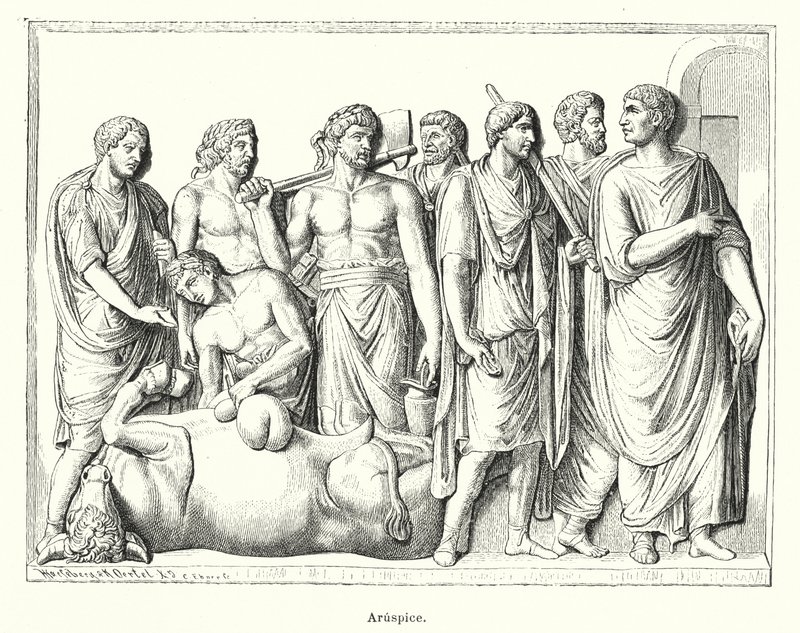 Haruspex, sacerdote romano antiguo que examinaba las entrañas de animales sacrificados para predecir el futuro de German School