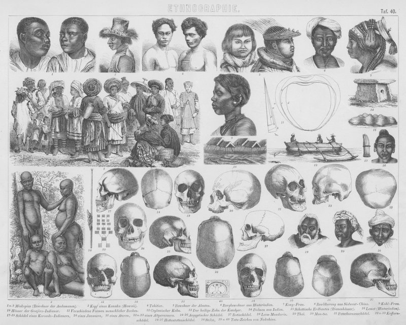 Ilustración para Bilder-Atlas: Razas y cráneos de German School