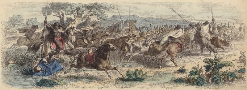 Indios sorprendiendo a los gauchos en las Pampas y llevándose su rebaño de ganado de German School