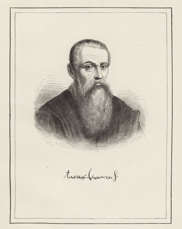 Lucas Cranach de German School