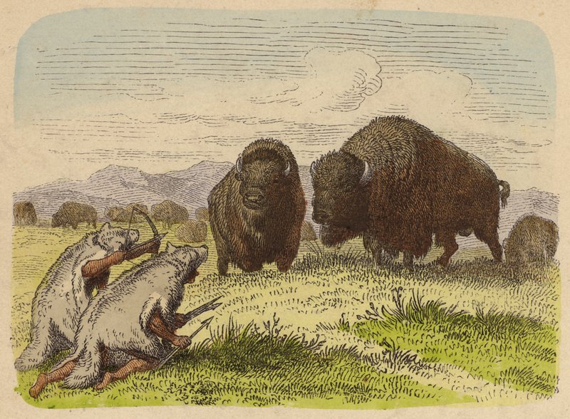 Nativos americanos con pieles de lobo cazando búfalos (grabado coloreado) de German School