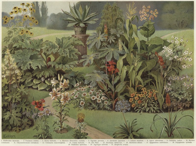 Plantas ornamentales de German School