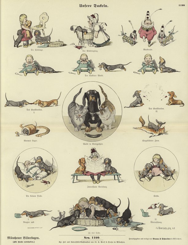 Nuestros Dachshunds de German School
