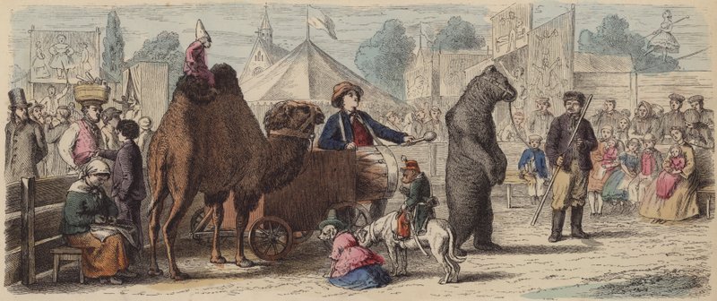 Tropa de animales actuando en Alemania de German School
