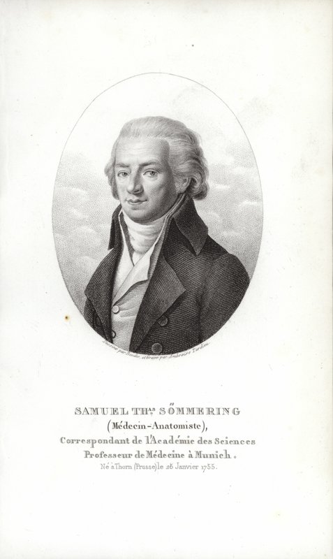 Samuel Thomas von Sömmerring de German School
