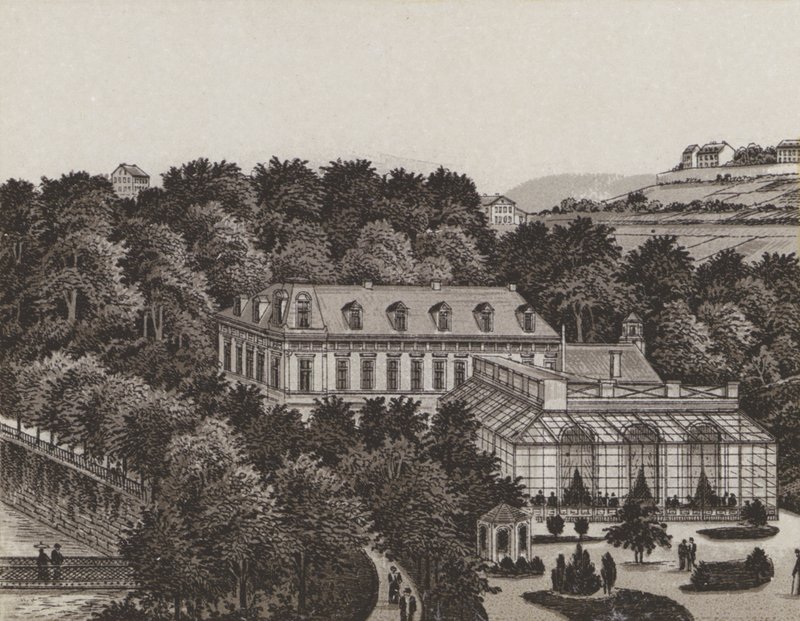 Schonbrunn (litografía) de German School
