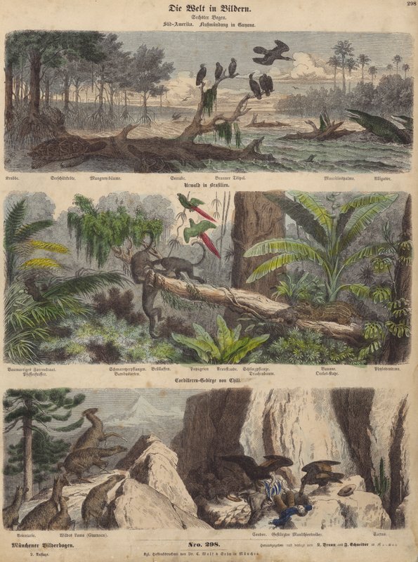 Sudamérica: estuario en Guyana; selva en Brasil; Andes chilenos (grabado coloreado) de German School