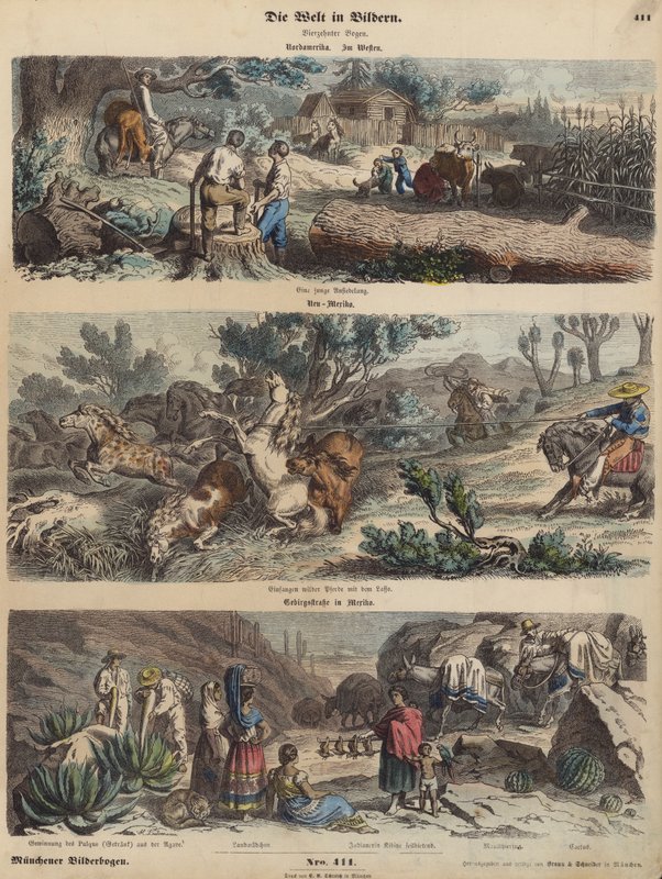 El Oeste Americano: un nuevo asentamiento; lazando caballos salvajes en Nuevo México; un camino de montaña en México (grabado coloreado) de German School