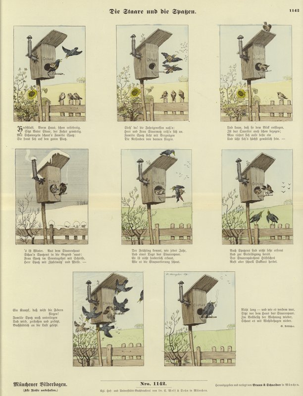 Los estorninos y los gorriones de German School