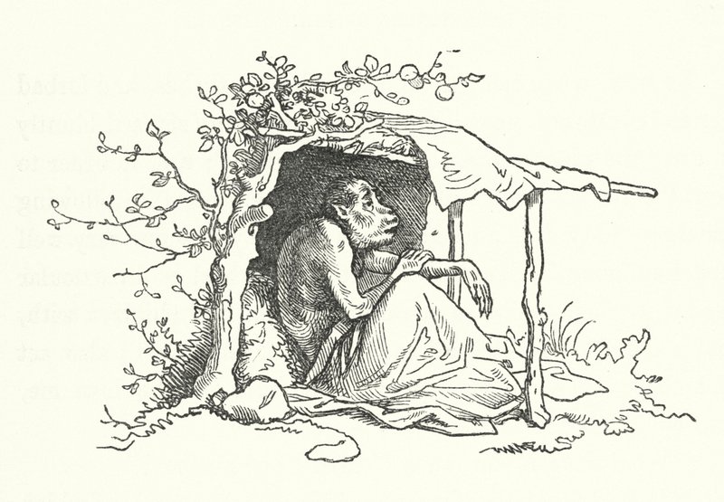 Los dos simios (grabado) de German School