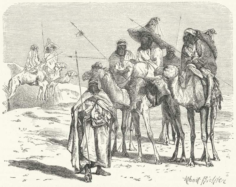Tuaregs de German School