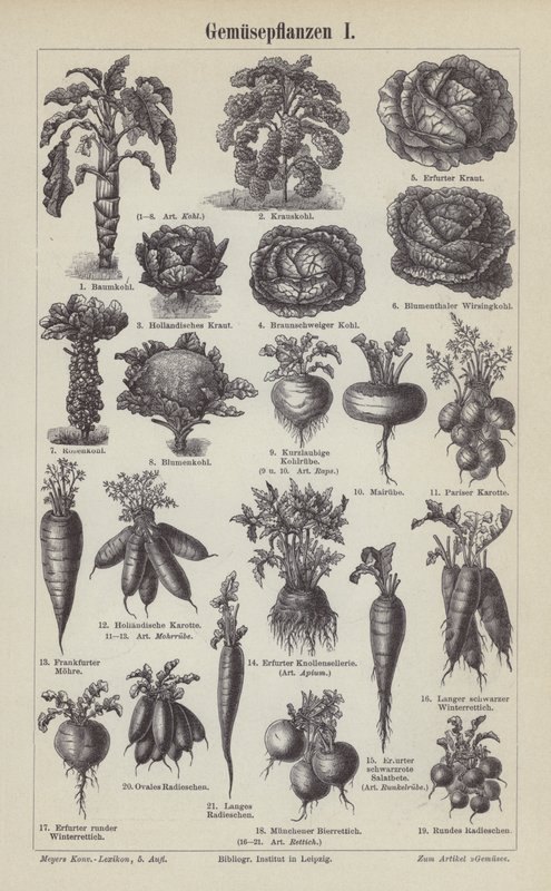 Verduras (grabado) de German School