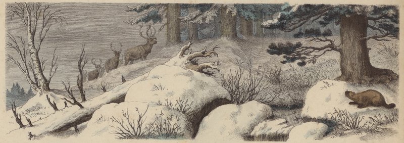 Paisaje de invierno en Canadá de German School