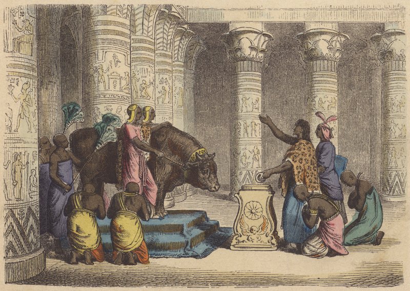 Adoración del toro Apis en el Antiguo Egipto de German School