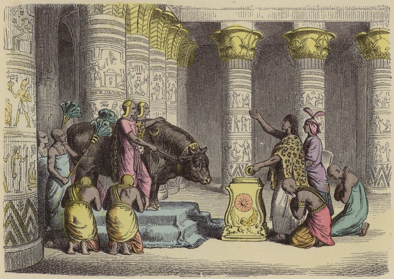 Adoración del toro Apis en el Antiguo Egipto de German School