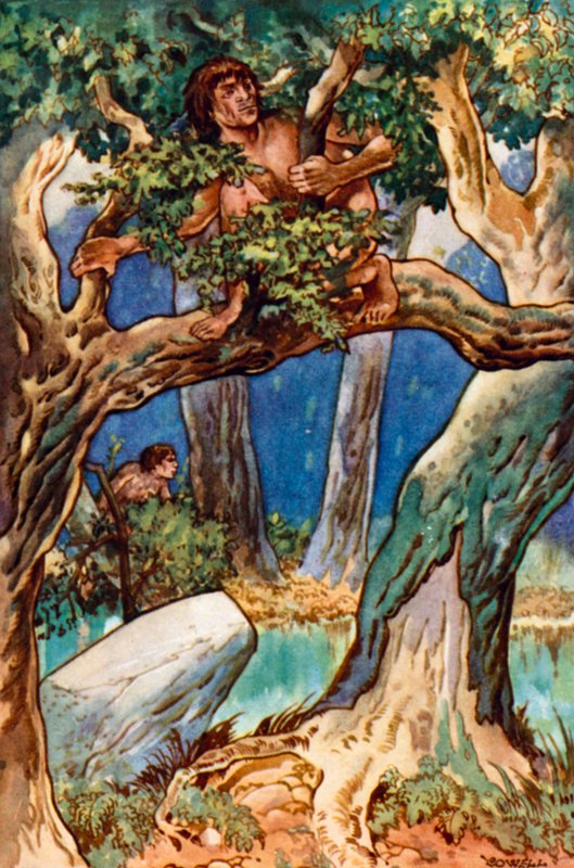Hace mucho, mucho tiempo, hombre en el bosque y el pantano de Gertrude Hamilton