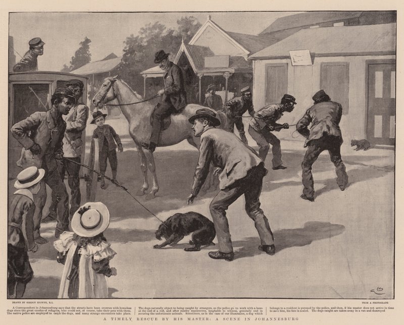 Un Rescate Oportuno por su Amo, una Escena en Johannesburgo de Gordon Frederick Browne