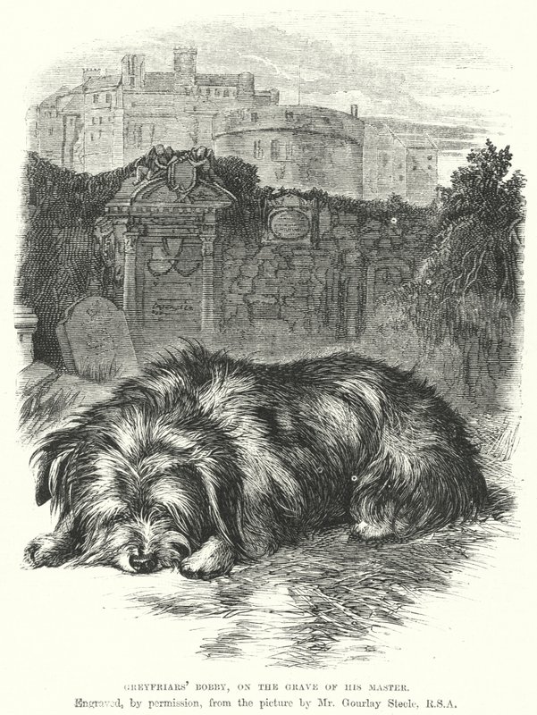 Bobby de Greyfriars, en la tumba de su amo (grabado) de Gourlay Steel