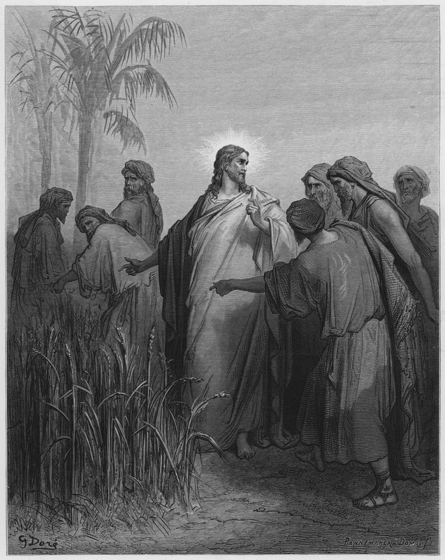 La Biblia de Gustave Doré: Jesús y sus discípulos en el campo de trigo de Gustave Dore