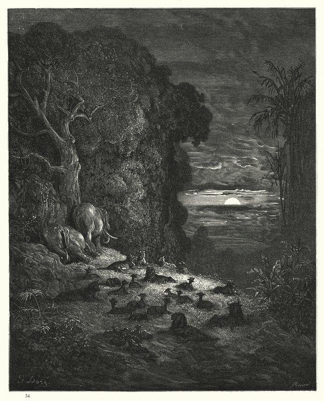 Ilustración de Gustave Doré para El Paraíso Perdido de Milton, Libro VII, líneas 581, 582 de Gustave Dore