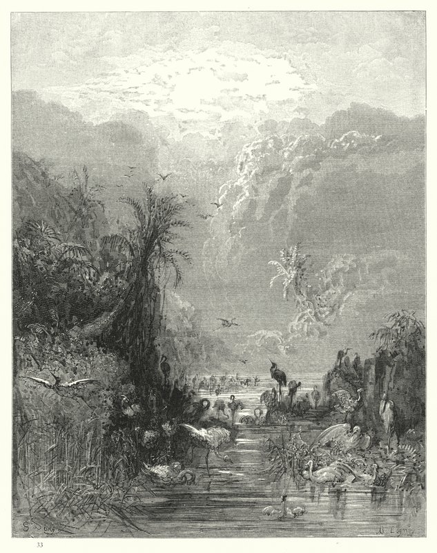 Ilustración de Gustave Doré para El Paraíso Perdido de Milton, Libro VII, líneas 417, 418 de Gustave Dore