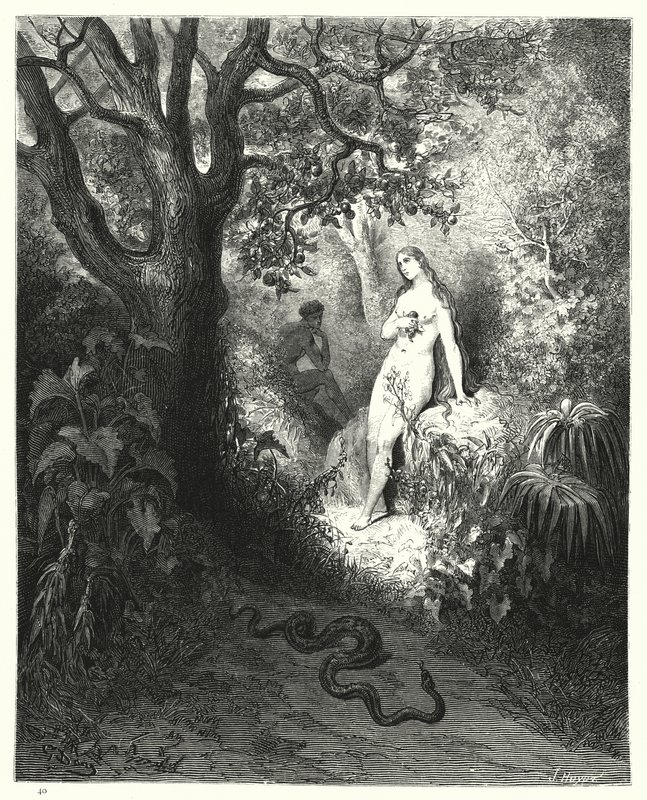 Ilustración de Gustave Doré para El Paraíso Perdido de Milton, Libro IX, líneas 784, 785 de Gustave Dore