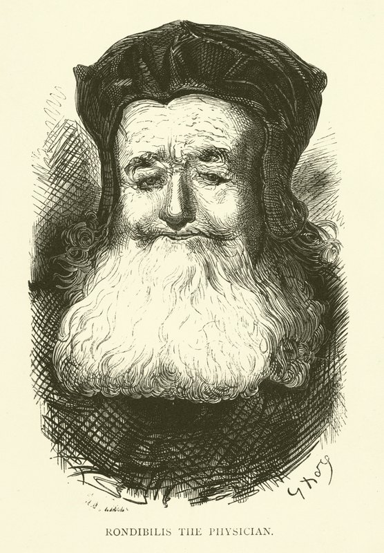 Ilustración para las obras de Rabelais de Gustave after Dore