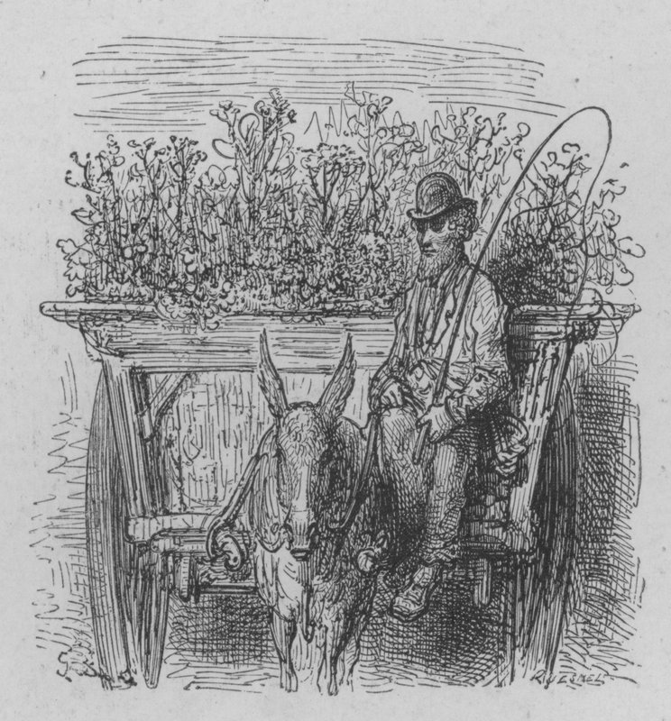 El Florista Ambulante de Gustave after Dore