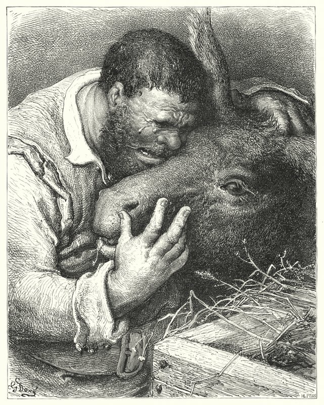 Don Quijote de Gustave Doré: "Ven aquí," dijo él, "mi amigo; tú fiel compañero y compañero de mis viajes y miserias" de Gustave Dore