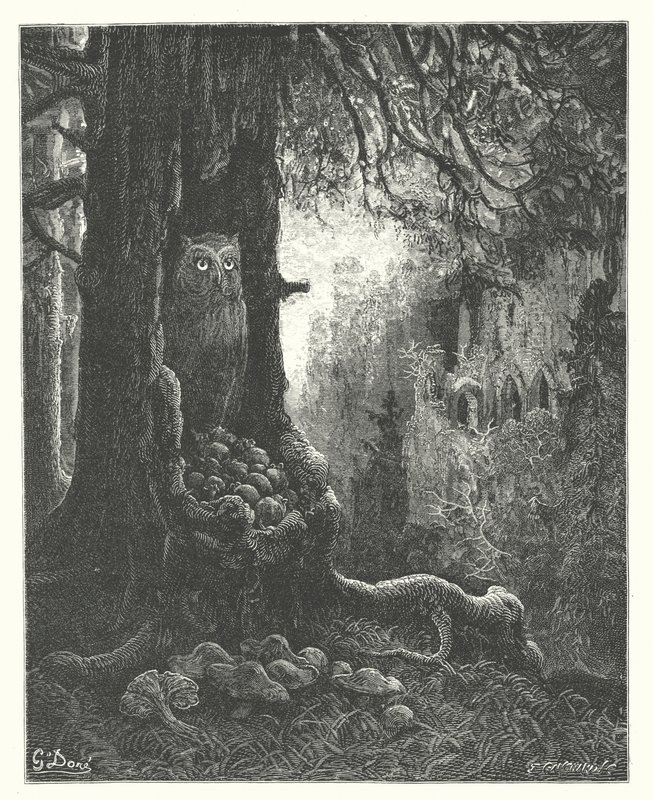 Las Fábulas de La Fontaine: La lechuza y los ratones (grabado) de Gustave Dore