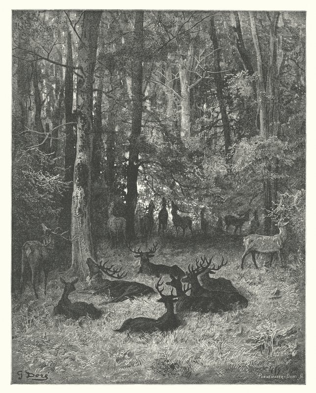 Las Fábulas de La Fontaine: El ciervo enfermo (grabado) de Gustave Dore