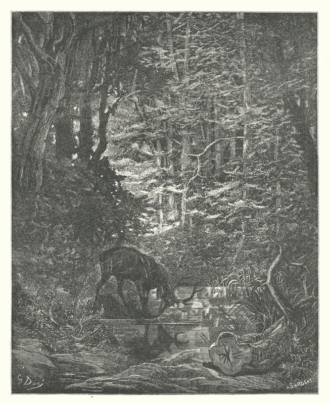 Las Fábulas de La Fontaine: El ciervo que se mira en el arroyo (grabado) de Gustave Dore