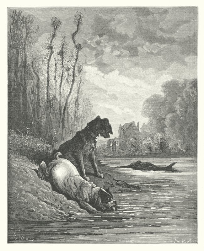 Las Fábulas de La Fontaine: Los dos perros y el asno muerto (grabado) de Gustave Dore