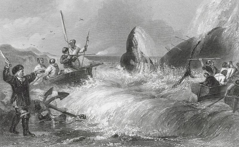 La ballena en la orilla (grabado) de H. Melville