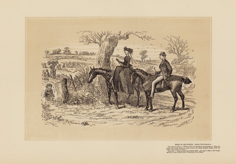 Un campo de reflexión muy fino (grabado) de Hablot Knight (1815 92) Browne