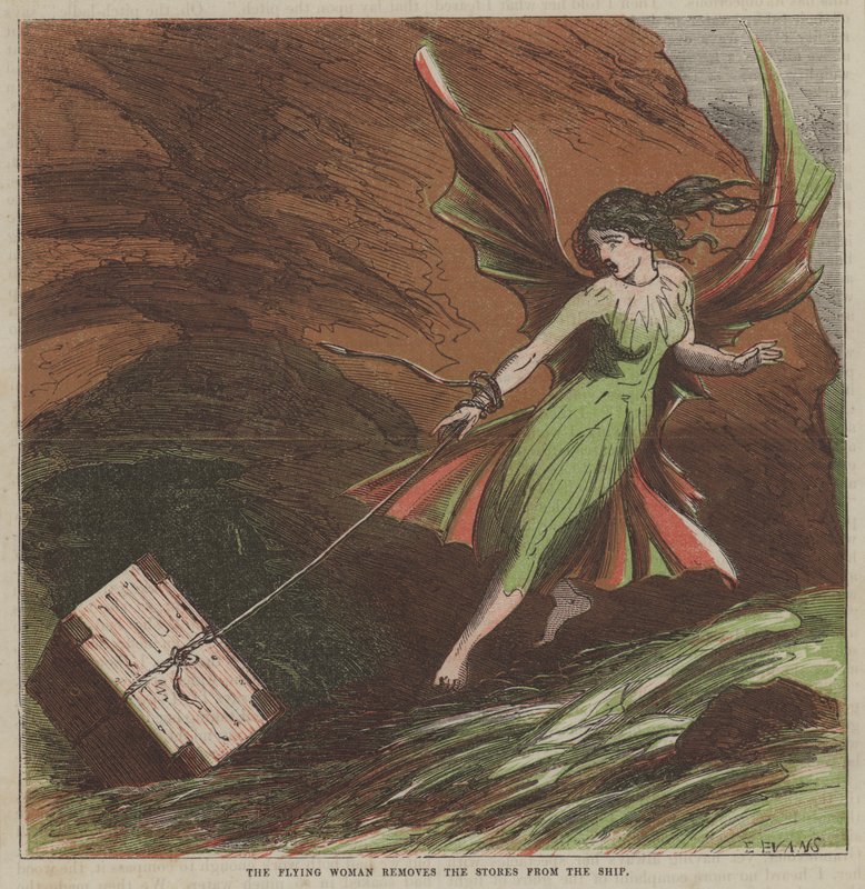 La mujer voladora retira las provisiones del barco de after Hablot Knight Browne
