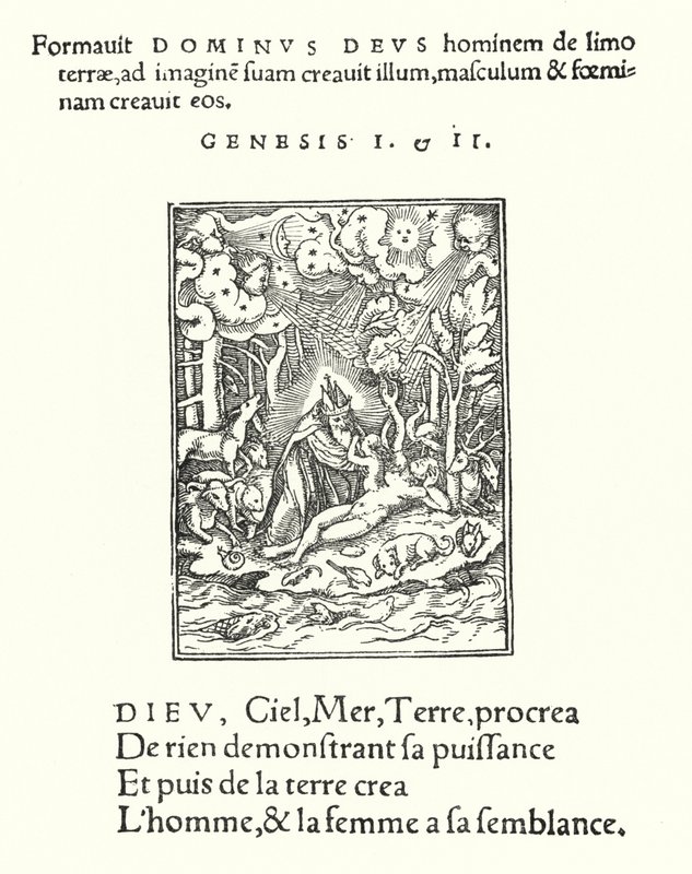 La Creación de Hans (after) Holbein the Younger