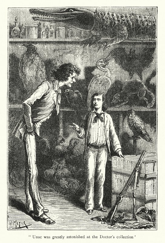 Unac estaba muy sorprendido por la colección del doctor (grabado) de Hans (after) Meyer
